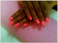 /album/girly-pinky-/pinkus-jpg/